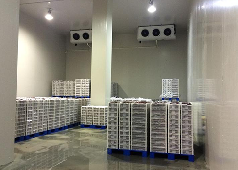 食品冷凍庫(kù)建造多少錢(qián) 食品冷凍庫(kù)建造多少錢(qián)