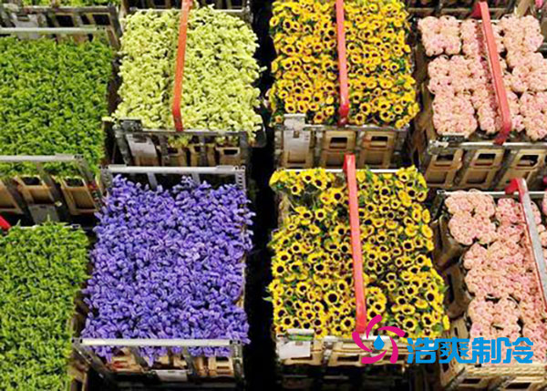 花卉冷庫安裝預(yù)算造價多少錢？-浩爽制冷