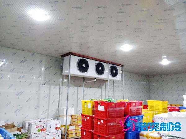 果品冷庫(kù)設(shè)計(jì)與安裝造價(jià)如何計(jì)算？-浩爽制冷